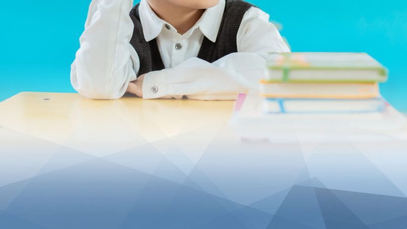 小标题：一、专业分设的必要性