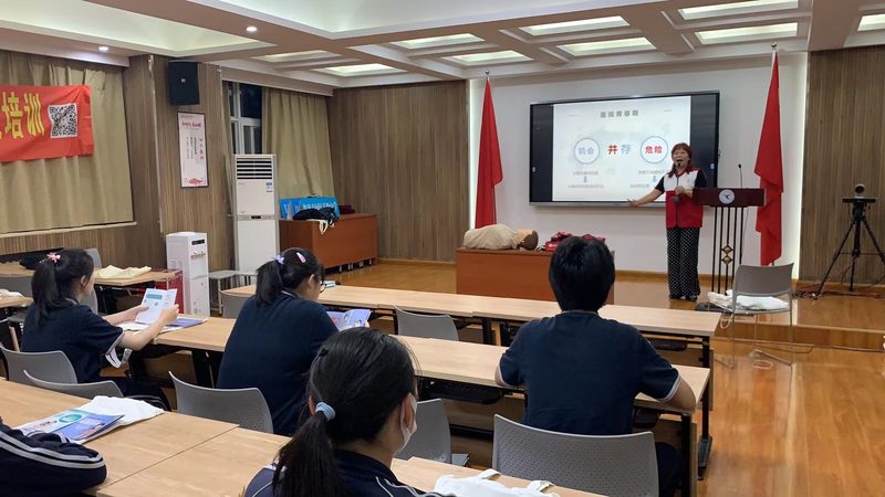 自考本科与网络教育：本质差异与选择指南